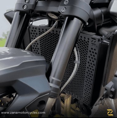 Zana Radiator Guard For Triumph street Triple 765 ZP-111