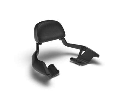 Backrest Pad for Hunter 350