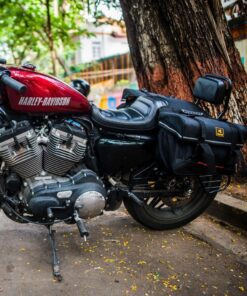 harey davidson bike with saddle bag 1