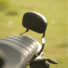 Backrest