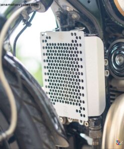 Radiator Guard Silver for GT & Interceptor 650