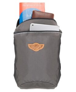 Hawk 10 Ltrs Grey Backpack